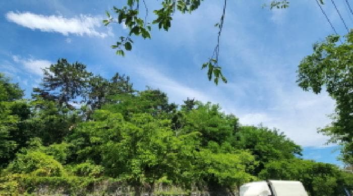 울산광역시 중구 다운동 425-4