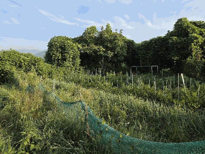 경상남도 양산시 상북면 외석리 102-1 외 1 필지