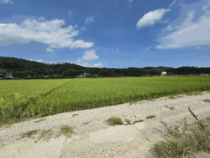 울산광역시 울주군 온양읍 동상리 236