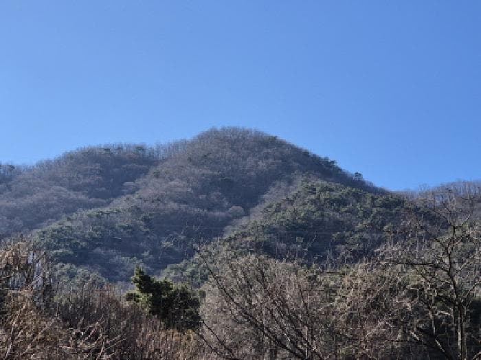 울산광역시 울주군 청량읍 율리 산297-2