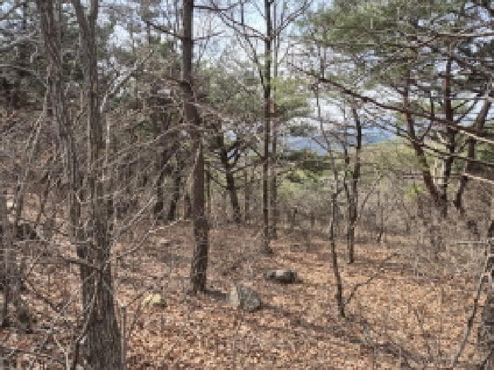 울산광역시 북구 달천동 산166