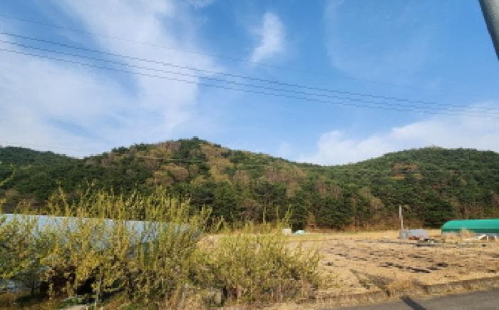 울산광역시 울주군 상북면 궁근정리 산169-20