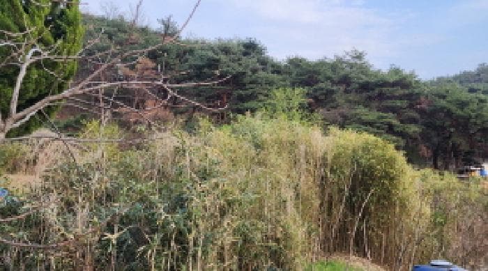 울산광역시 울주군 상북면 지내리 118