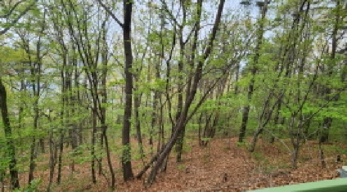 울산광역시 울주군 웅촌면 곡천리 산22-7