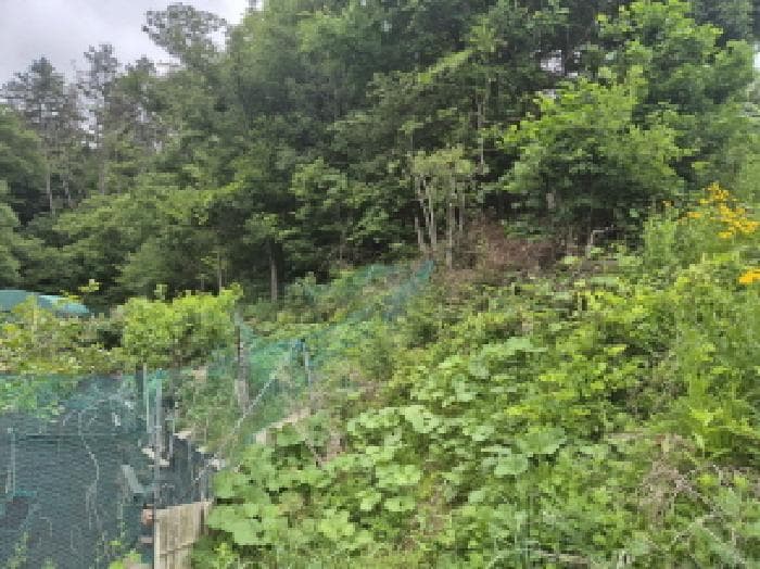 울산광역시 울주군 온양읍 남창리 산1