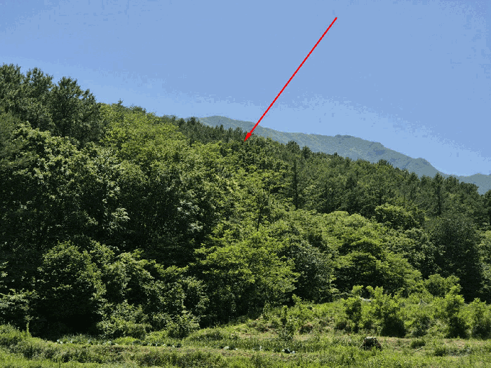울산광역시 울주군 상북면 천전리 산25-18