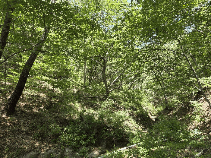 울산광역시 울주군 언양읍 반송리 산128-6