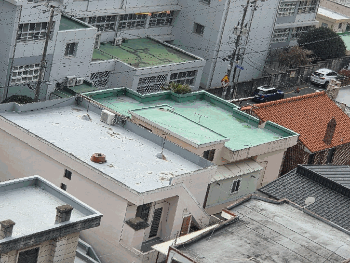 울산광역시 남구 신정동 1204-19