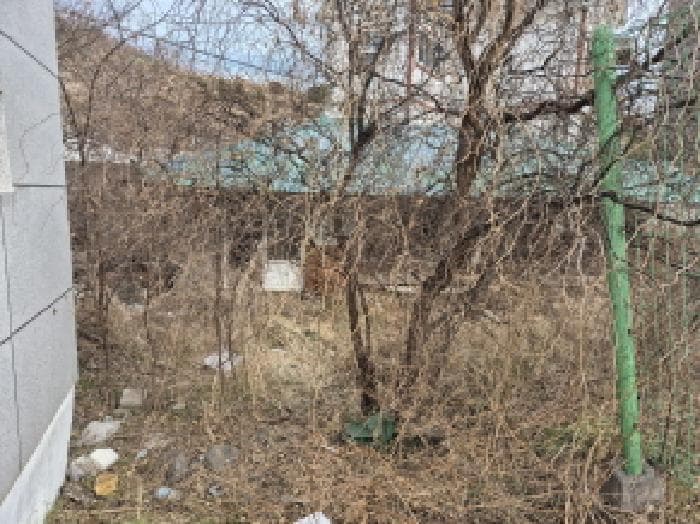 울산광역시 북구 당사동 520-6 외 1 필지
