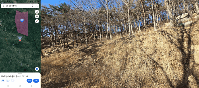 경상남도 양산시 동면 금산리 산133