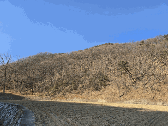 울산광역시 북구 대안동 산329