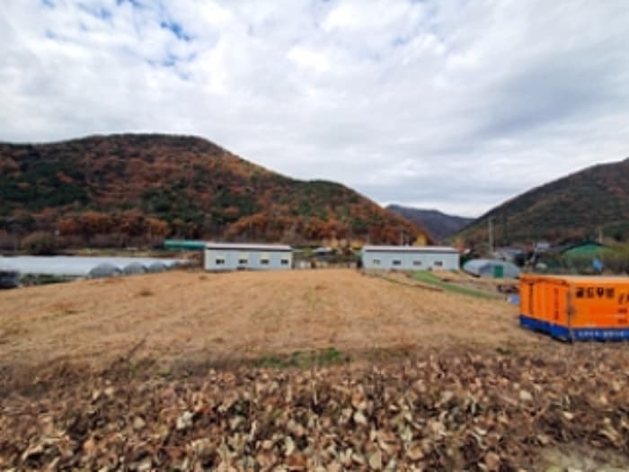 경상남도 김해시 대동면 예안리 1114