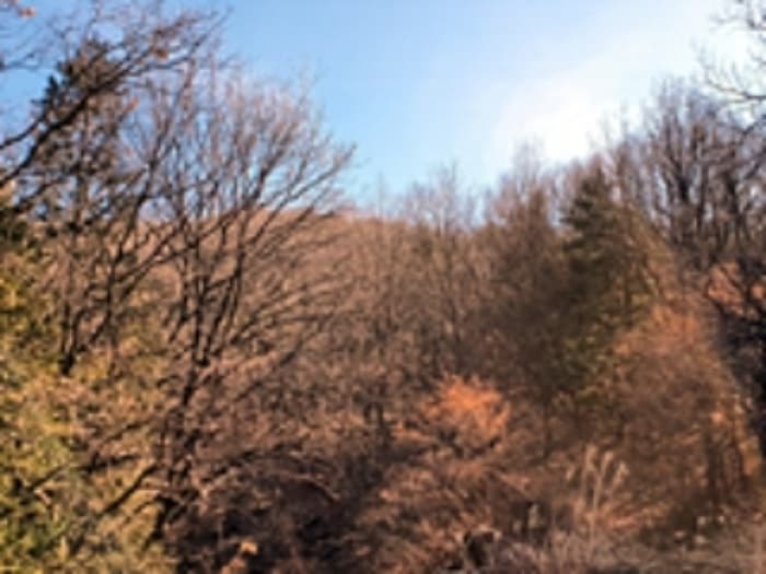 경상남도 창원시 진해구 두동 산281 외 1 필지
