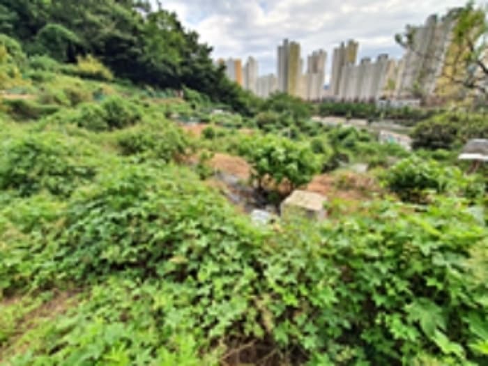 경상남도 창원시 진해구 용원동 888
