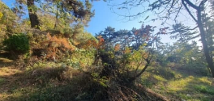 경상남도 김해시 이동 산18