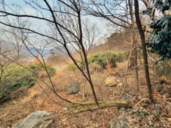 경상남도 김해시 대동면 주동리 577