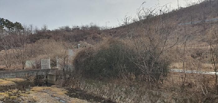 경상남도 김해시 진영읍 설창리 393-1 외 3 필지