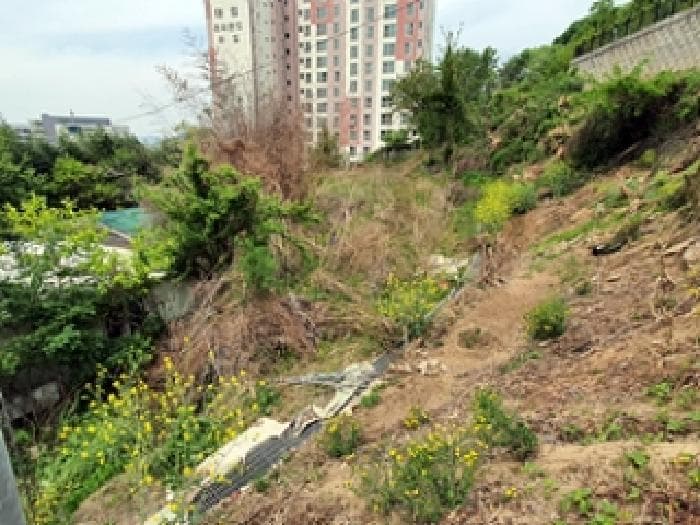경상남도 김해시 지내동 510