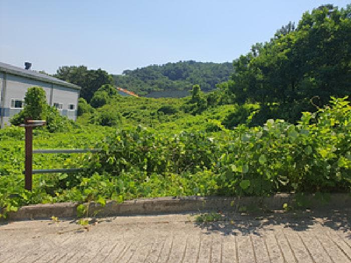 경상남도 김해시 한림면 안하리 1158-1