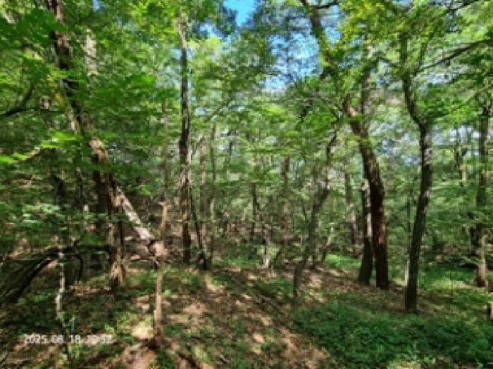 경상남도 창원시 성산구 남지동 산60