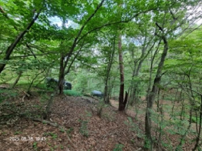 경상남도 창원시 성산구 남지동 산59