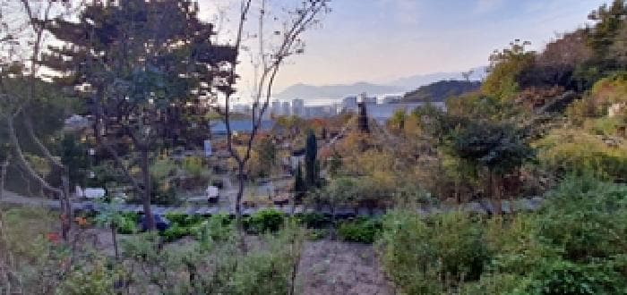 경상남도 창원시 진해구 장천동 44-11 진해보타닉뮤지엄연구관리동 외 3 필지 외 2개 동