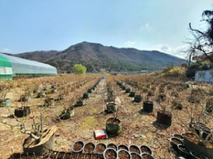 경상남도 김해시 대동면 주중리 558-3