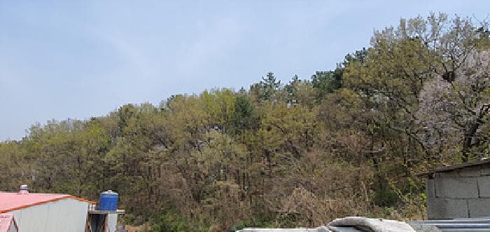 경상남도 김해시 한림면 명동리 산103-2