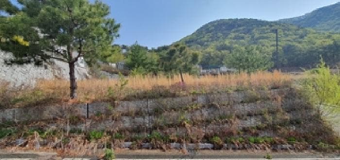 경상남도 김해시 상동면 여차리 1606