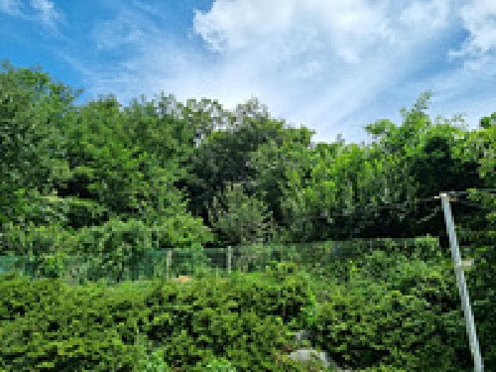 경상남도 창원시 의창구 동읍 본포리 333-5 외 15 필지