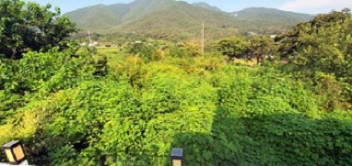 경상남도 김해시 상동면 여차리 809-2 외 4 필지