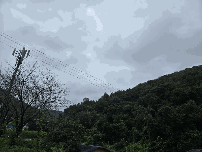 경상남도 김해시 생림면 도요리 산11-16 외 1 필지