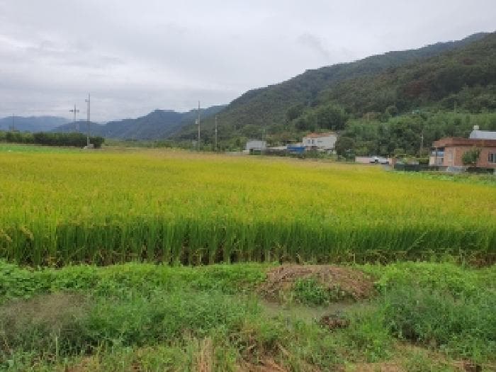 경상남도 김해시 생림면 도요리 301