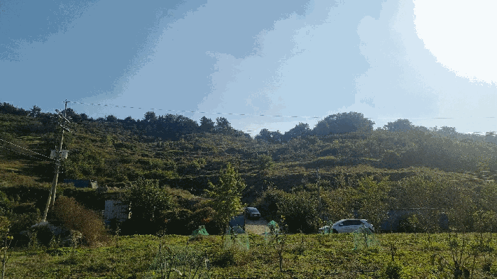 경상남도 김해시 진영읍 본산리 48-2