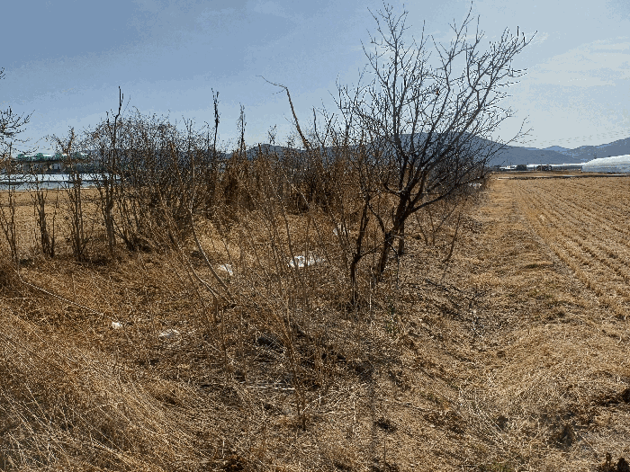 경상남도 김해시 화목동 214-4
