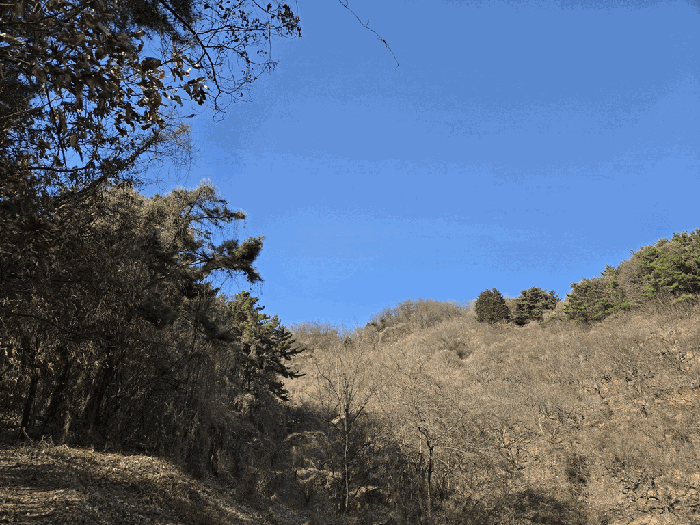 경상남도 창원시 의창구 북면 상천리 산42-1