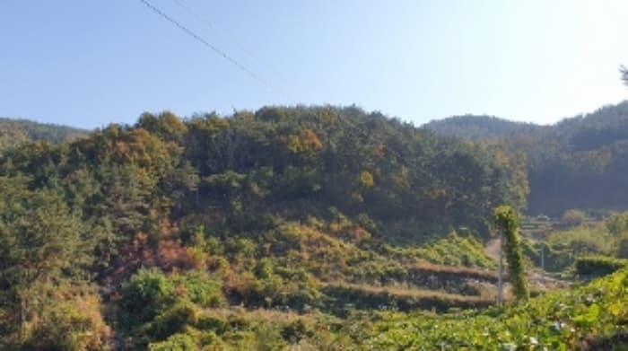 경상남도 창원시 마산합포구 구산면 옥계리 산201-1
