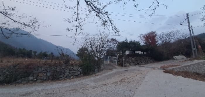 경상남도 창원시 마산회원구 내서읍 감나무골길 247