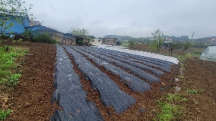 경상남도 함안군 군북면 덕대리 356-1 외 1 필지