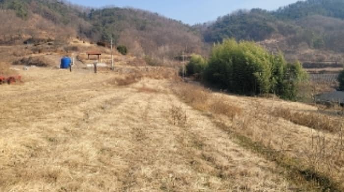 경상남도 함안군 법수면 강주리 502