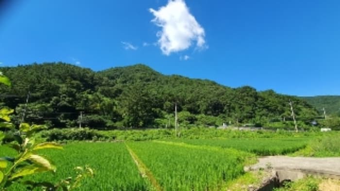 경상남도 창원시 마산합포구 진북면 영학리 50