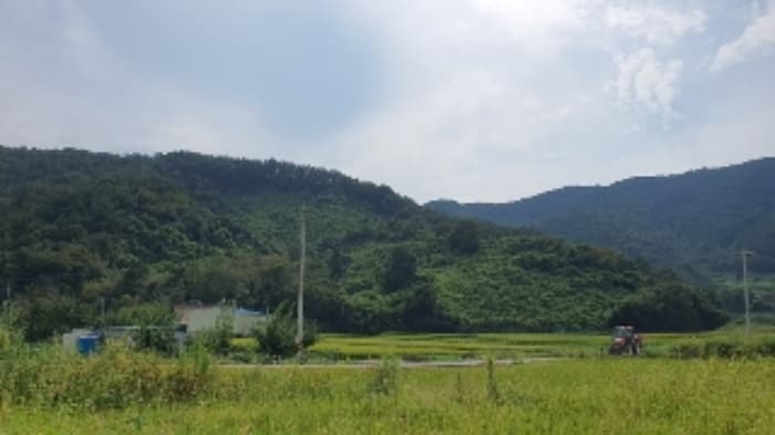 경상남도 창원시 마산합포구 구산면 마전길 185-139 외 7 필지
