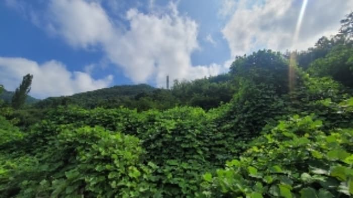 경상남도 창원시 마산회원구 내서읍 감천리 1206