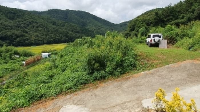 경상남도 창원시 마산합포구 진전면 시락리 542-1