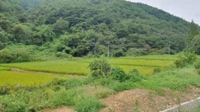 경상남도 창원시 마산합포구 진전면 고사리 164