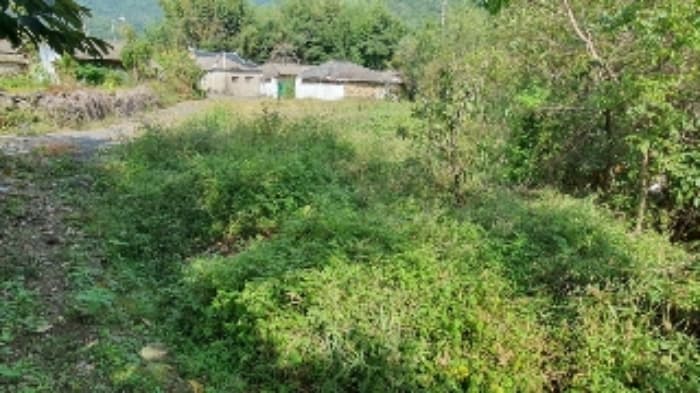 경상남도 창원시 마산합포구 진전면 봉곡리 541-2