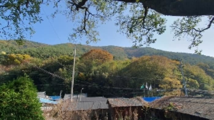 경상남도 창원시 마산합포구 진동면 태봉리 산115-1