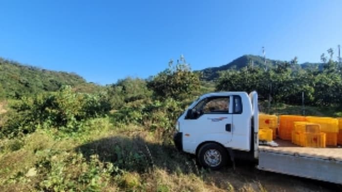 경상남도 함안군 칠북면 봉촌리 산384-2