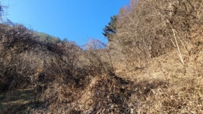 경상남도 창원시 마산회원구 내서읍 삼계리 산124 외 3 필지