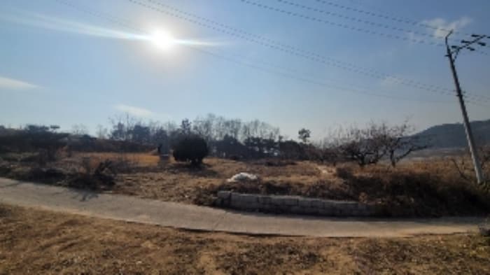 경상남도 함안군 법수면 사정리 464